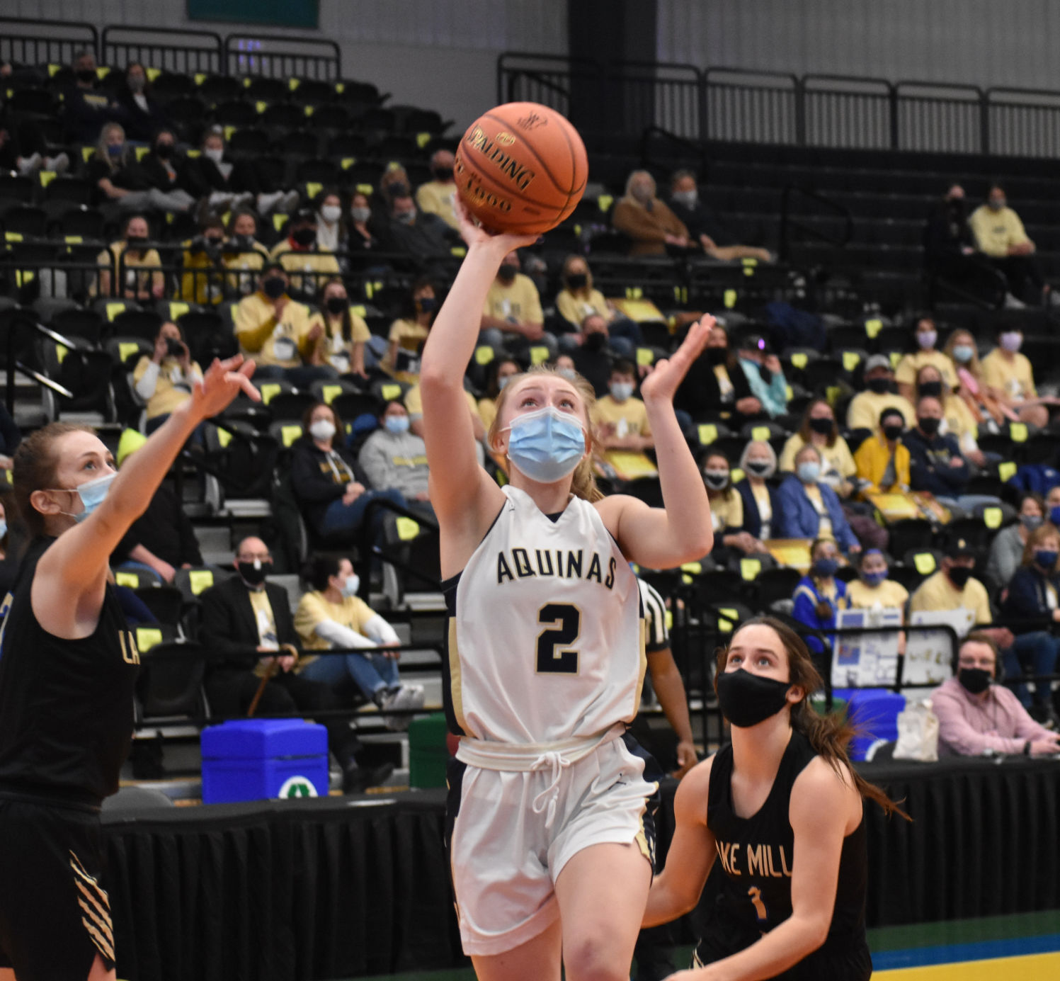 WIAA D3 championship 3